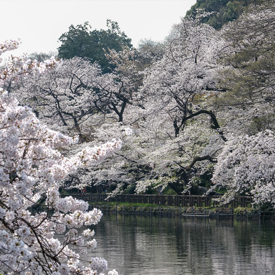 （2024年4月撮影）