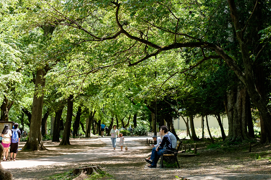 井の頭恩賜公園（徒歩2分/約90m〜約120m）（2022年5月撮影）