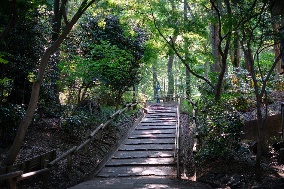 井の頭恩賜公園（徒歩2分/約90m〜約120m）（2022年5月撮影）