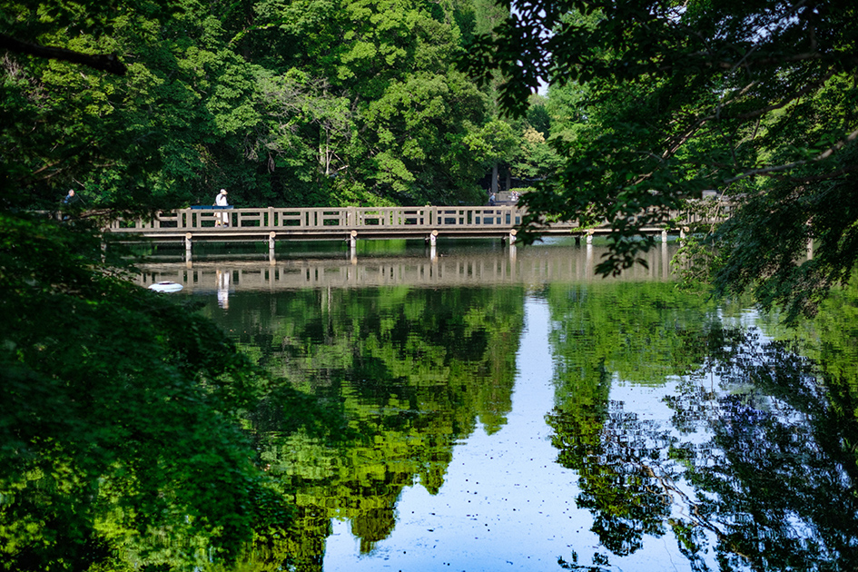 井の頭恩賜公園（徒歩2分/約90m〜約120m）（2022年5月撮影）