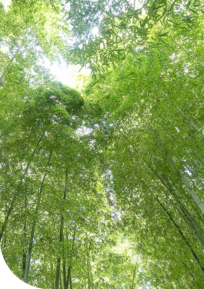 宮前公園（徒歩10分/約760m〜約780m）