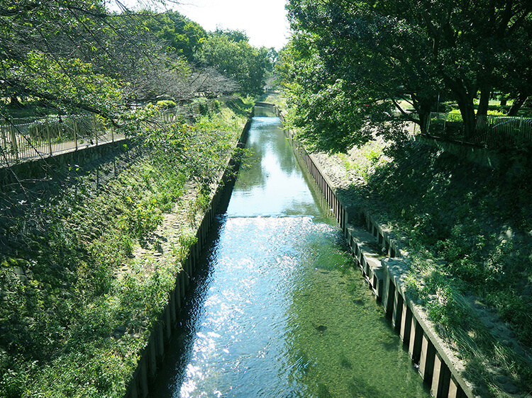 善福寺川緑地 image photo