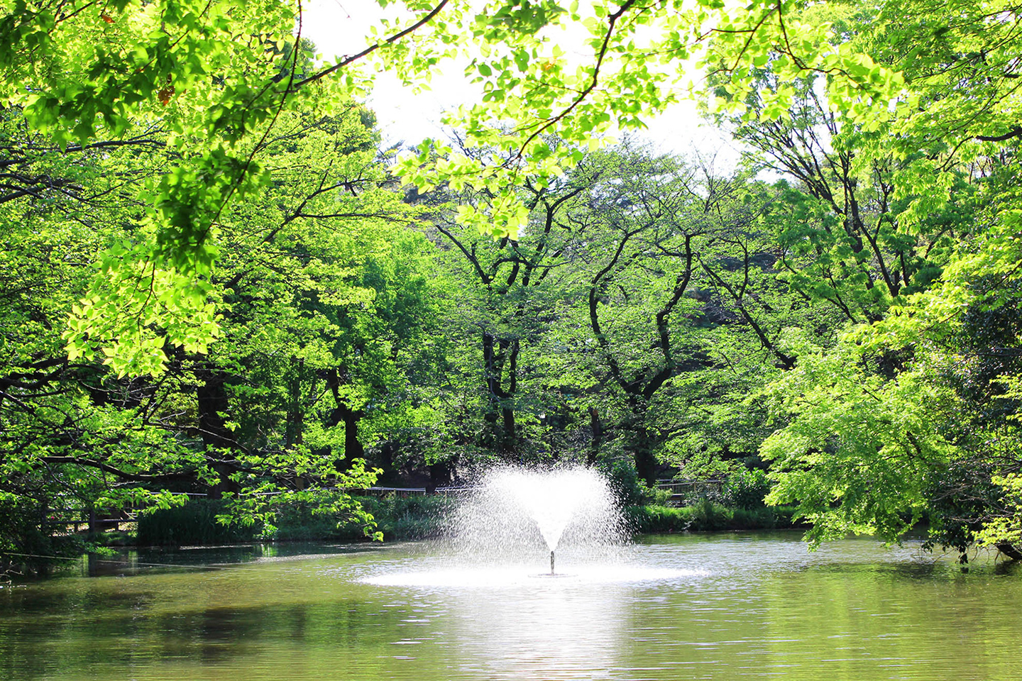 和田堀公園 image photo