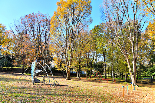 和田堀公園はらっぱ広場 image photo