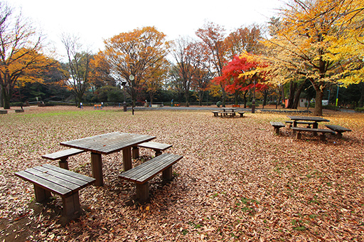 和田堀公園バーベキュー広場 image photo