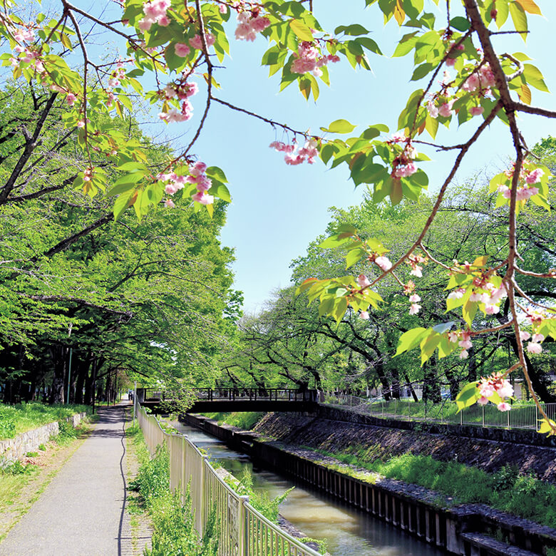 善福寺川緑地 image photo