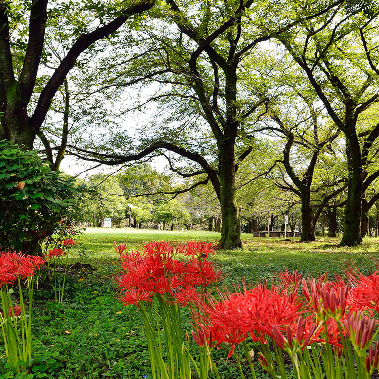善福寺川緑地 image photo