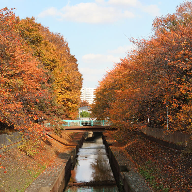 善福寺川緑地 image photo