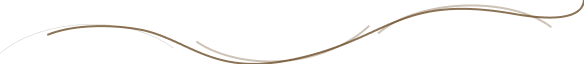 image illust