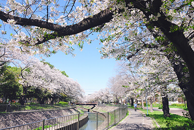 和田堀公園（約40m〜80m／徒歩1分）2024年4月撮影