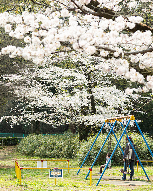 和田堀公園（約40m〜80m／徒歩1分）2026年3月撮影