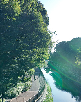 ※八幡橋（現地より約550m～約600m／徒歩7分～8分）