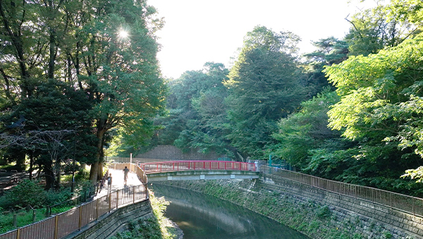 八幡橋（現地より約550m～約600m／徒歩7分～8分）