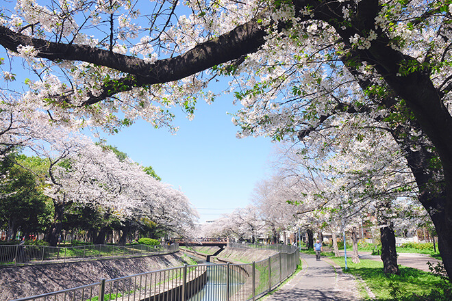 和田堀公園　（約40m〜80m／徒歩1分）2024年４月撮影