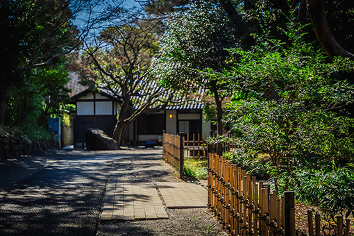 瀬田四丁目旧小坂緑地