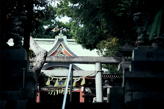 瀬田玉川神社（約280m～310m／徒歩4分）