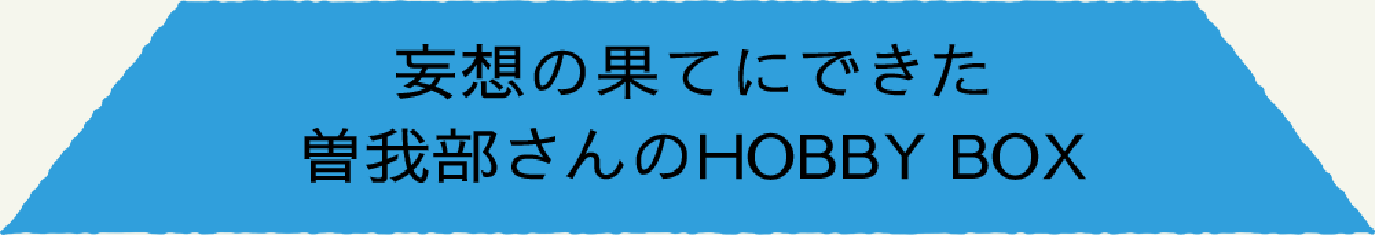 妄想の果てにできた 曽我部さんのHOBBY BOX