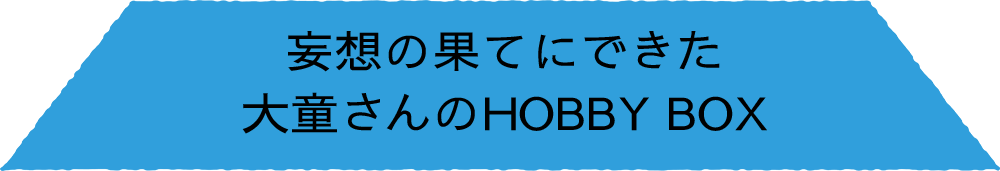 妄想の果てにできた 大童さんのHOBBY BOX