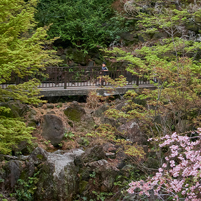 紅葉山公園（約1,300m〜1,320m／徒歩17分）