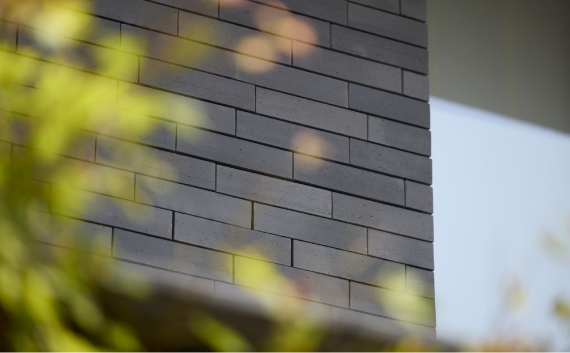 （2025年8月20日撮影）