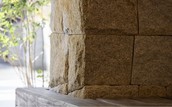 （2025年8月20日撮影）