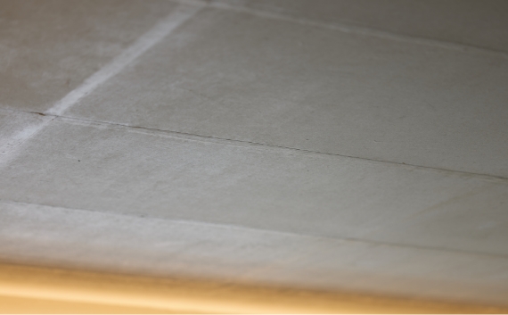 （2025年8月20日撮影）