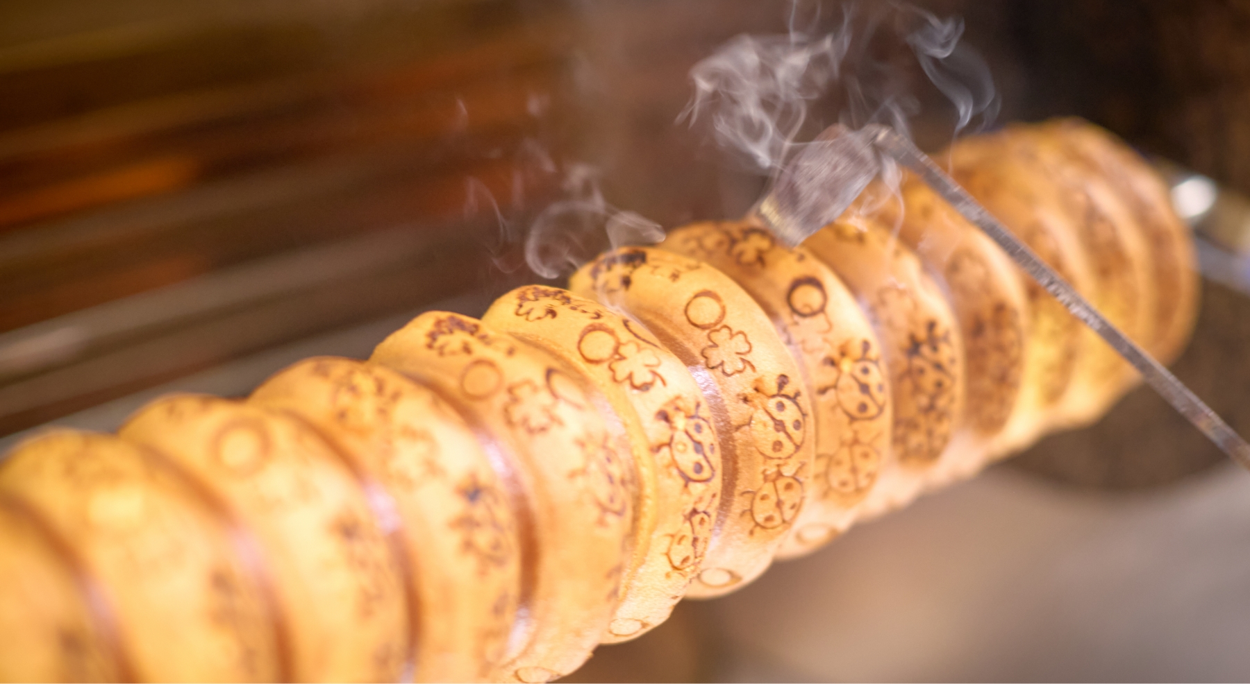 ズーセス ヴェゲトゥス（現地より約100ｍ/2024年11月撮影）