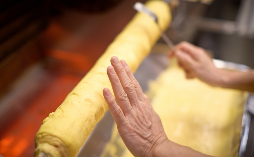 ズーセス ヴェゲトゥス（現地より約100ｍ/2024年11月撮影）