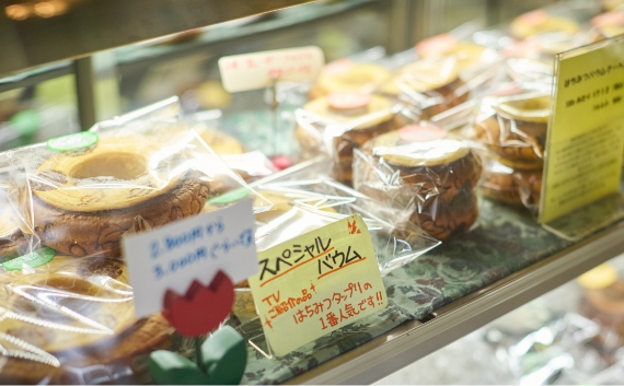 ズーセス ヴェゲトゥス（現地より約100ｍ/2024年11月撮影）