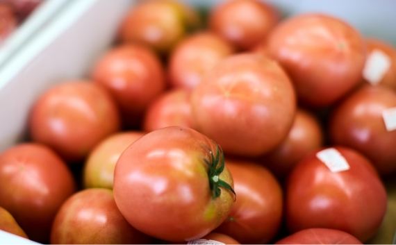 京野菜  八百廣（現地より約290m/2024年10月撮影）