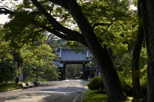 京都御苑（現地より約680m 2024年5月撮影）